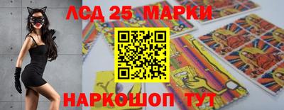 ALPHA PVP Гатчина