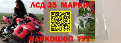 ALPHA PVP Гатчина